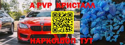 гидра Будённовск